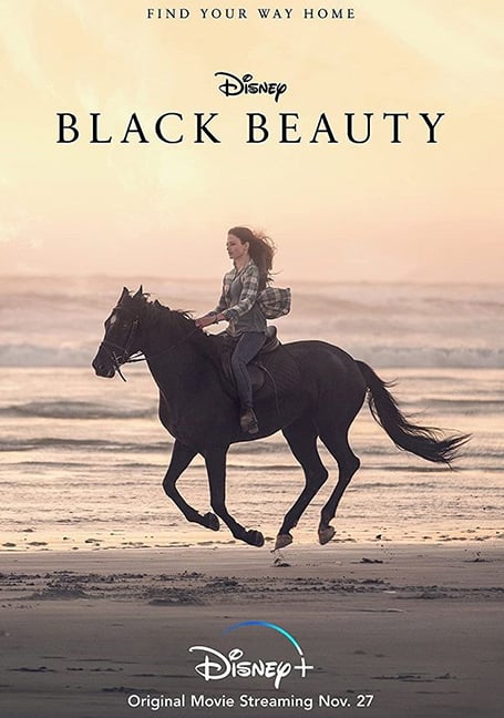 Black Beauty (2020)